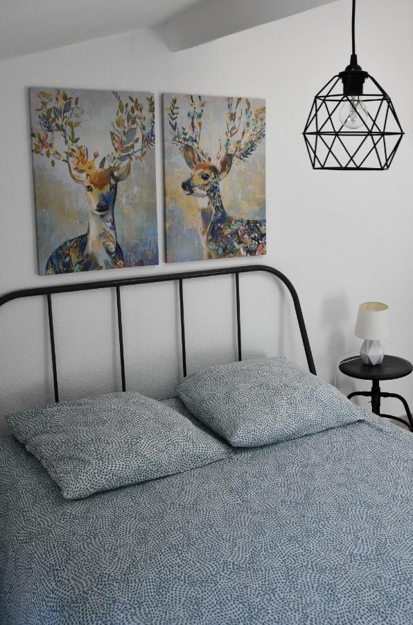 Appartement "Sacha" Au Calme En Hypercentre De Revel Revel  Ngoại thất bức ảnh